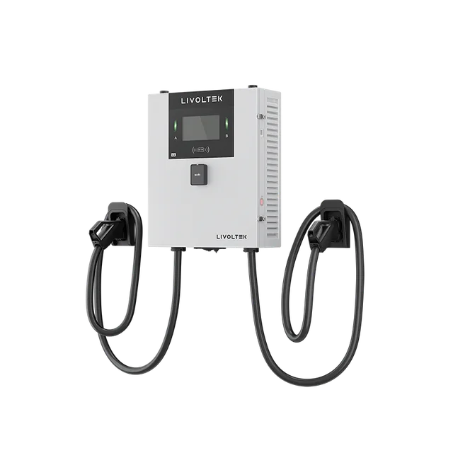 Cargador Livoltek Motion Compact DC 60